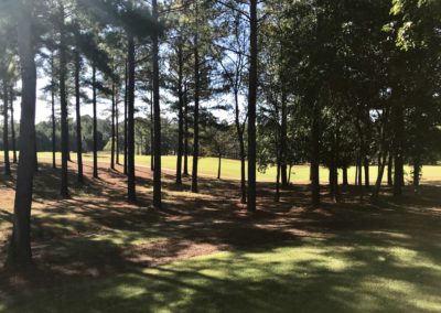 home for sale grand harbor lake greenwood sc