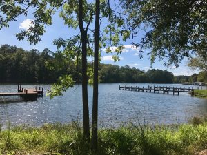 lake lot for sale lake greenwood sc